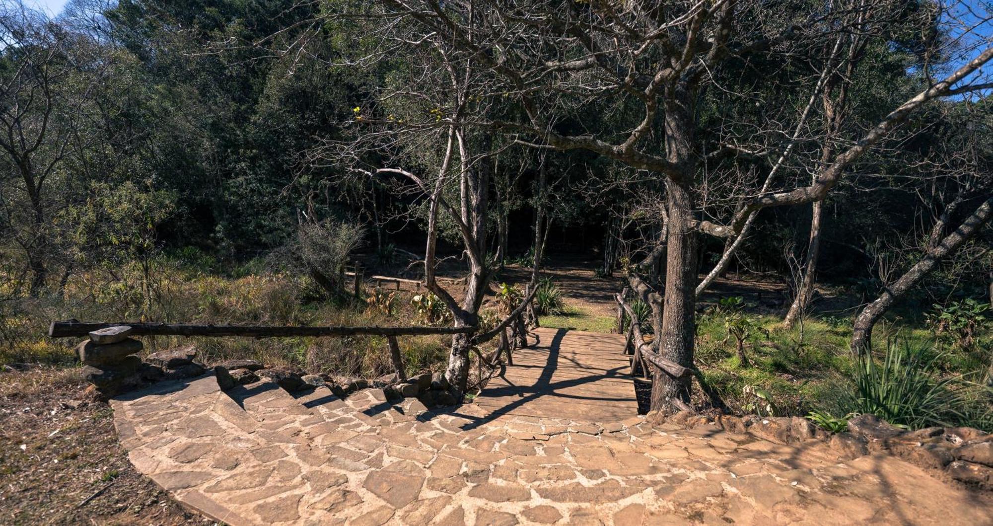 Anew Resort Ingeli Forest Kokstad Kokstad  Exterior foto